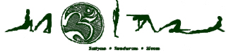 IYS old logo